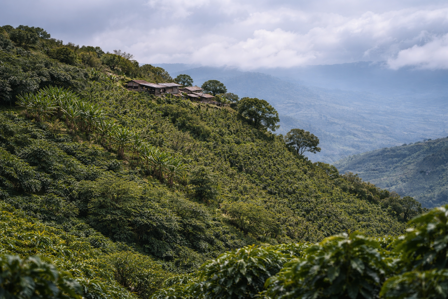 Colombia