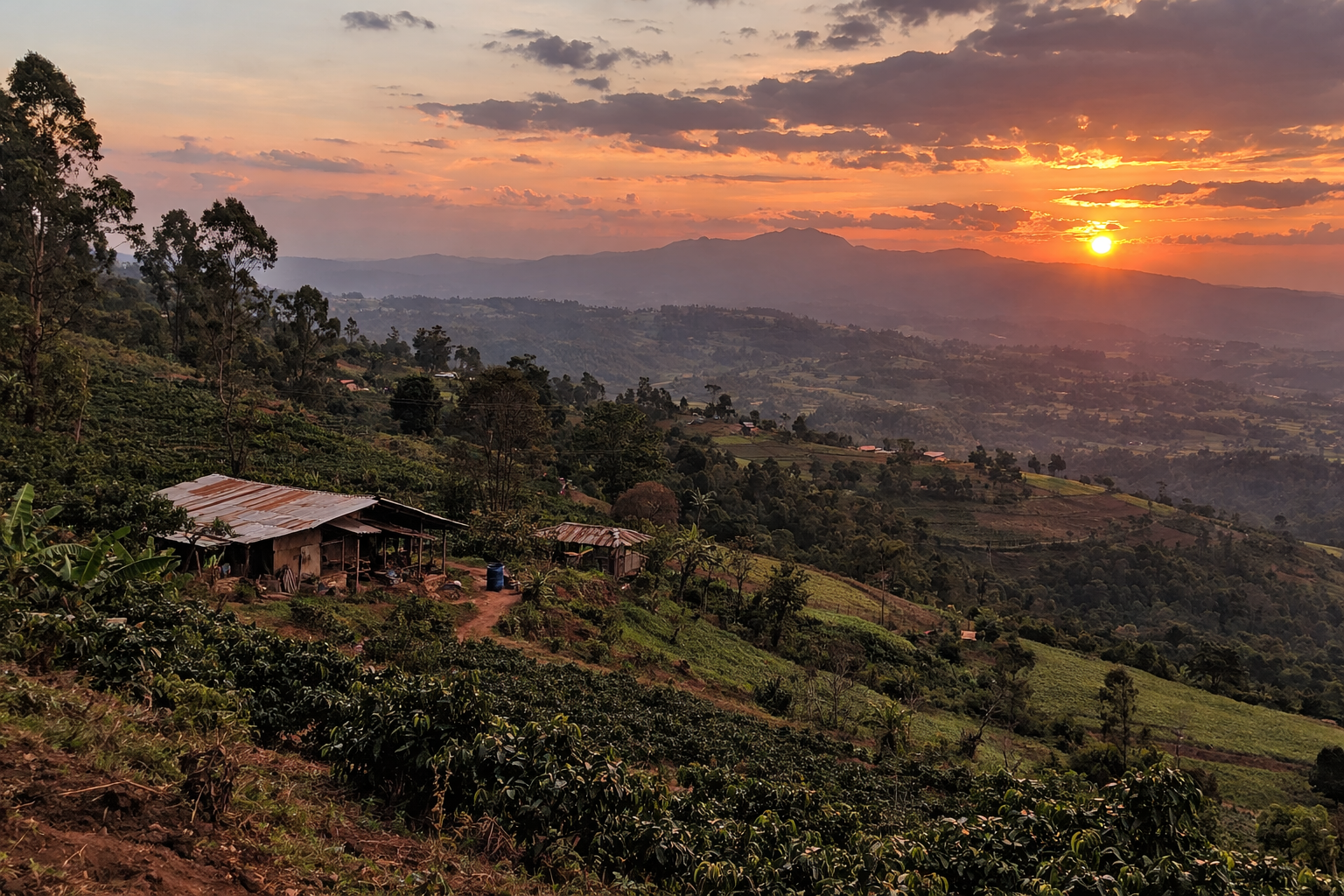 Ethiopia